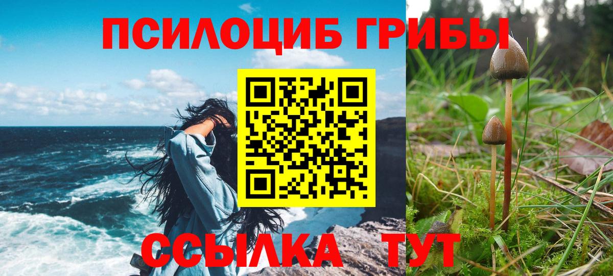 Псилоцибиновые грибы Psilocybine cubensis  Вход с VPN  Жигулёвск 
