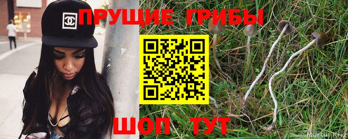 Псилоцибиновые грибы мухоморы Жигулёвск
